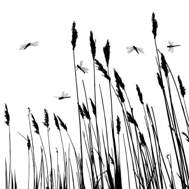 Real grass silhouette and few dragonflies - vector clipart
