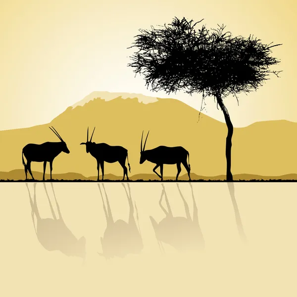 Paisagem africana flora e fauna ao pôr do sol com antílopes . — Vetor de Stock