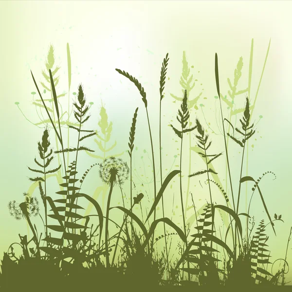 Silueta de hierba real, prado durante el verano — Vector de stock