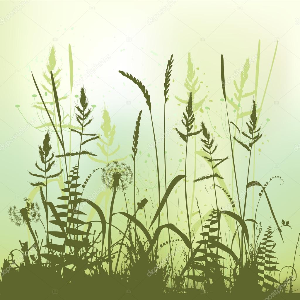真草剪影，在夏季草甸图库矢量图©lakalla 28818157, image size:1024x1024