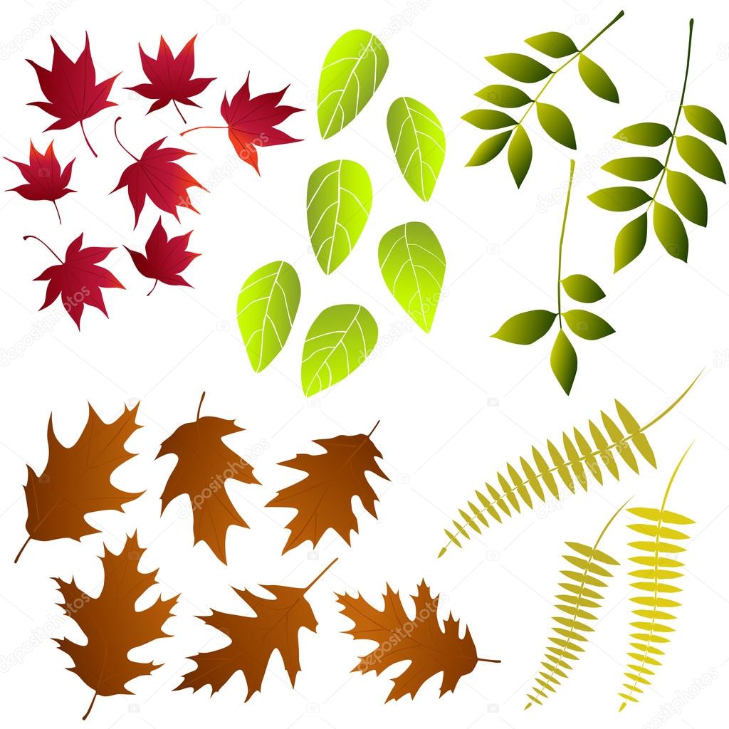 Leaf, collection for designers