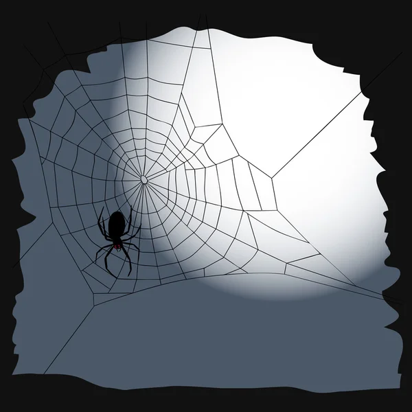Fundo de Halloween - aranha e teia de aranha — Vetor de Stock