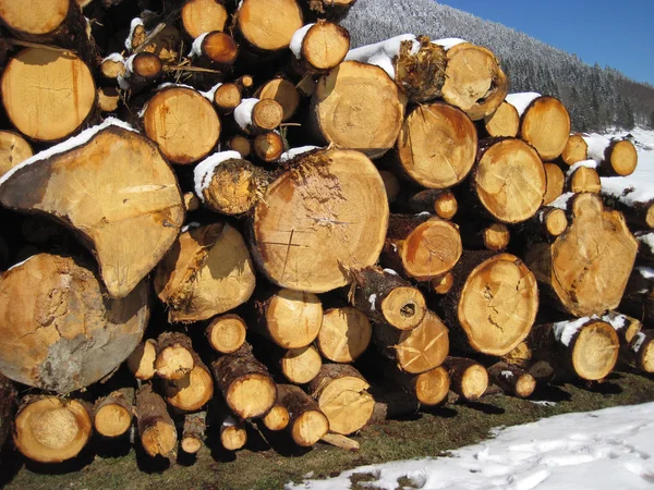 Stack of firewood — Stock Photo, Image