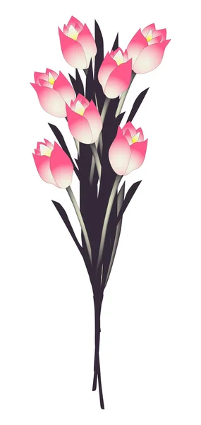 Bloeiende bloemen, tulpen — Stockvector