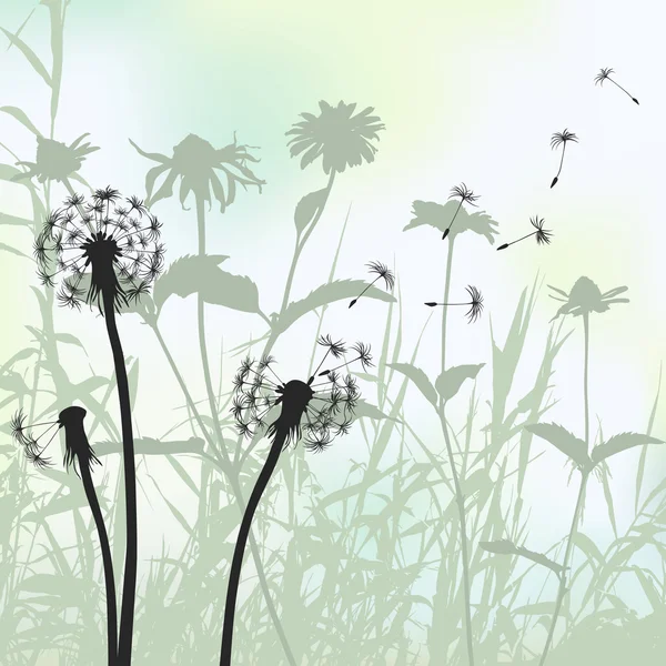 Floral background, dandelion meadow diuring summertime — Stock Vector