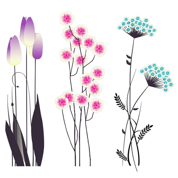 Floral achtergrond, bloeiende bloemen — Stockvector