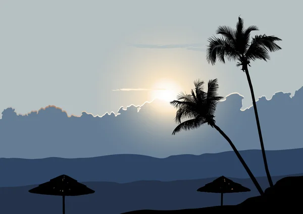 Una madrugada tropical, amanecer con palmeras — Vector de stock