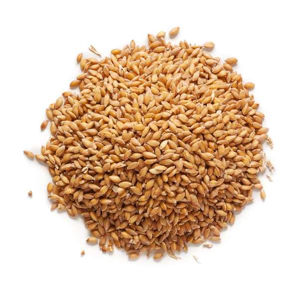 粒小麦在白色背景上 — 图库照片