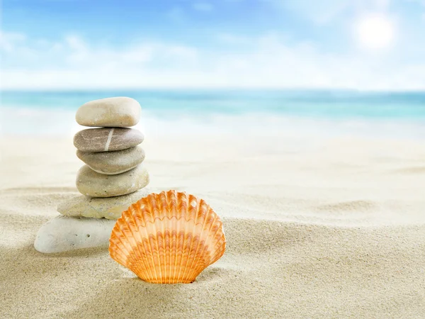 Concha y piedras en la playa —  Fotos de Stock