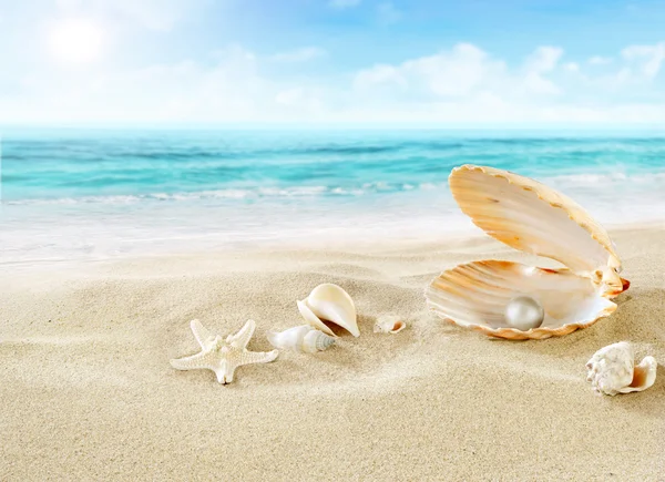Perla sulla spiaggia . — Foto Stock