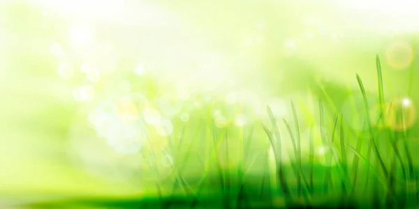 Green Meadow Strong Sunlight Fresh Grass Nature Background Spring Landscape — Stock vektor