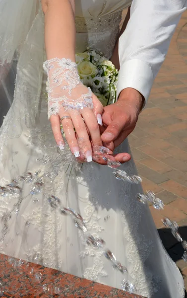 Hands of the newlyweds — Stock Photo, Image