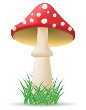 mantar amanita vektör çizim