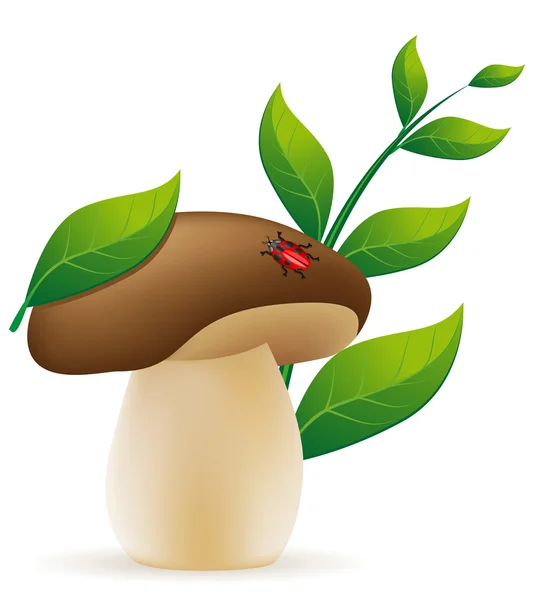 Mushroom cep vectorillustratie — Stockvector