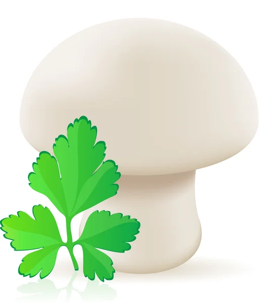 Mushroom champignon vectorillustratie — Stockvector