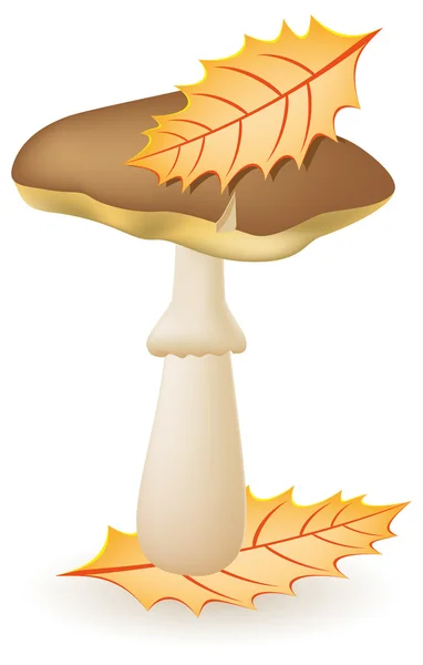 Векторная иллюстрация грибных жиров — стоковый вектор