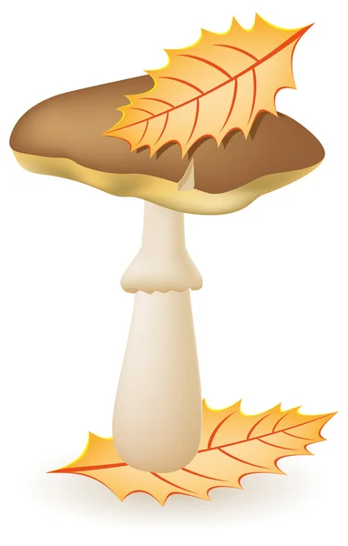 Ceniony grzyb ilustracja — Zdjęcie stockowe