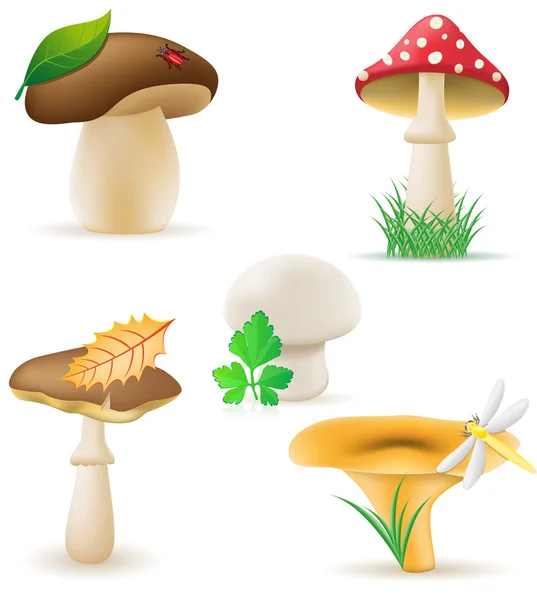 Ustawić ikony ilustracja grzyby — Zdjęcie stockowe