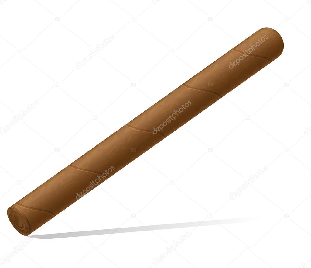 cigar vector illustration