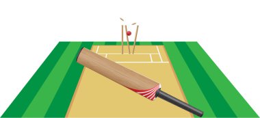 Criket vektör çizim