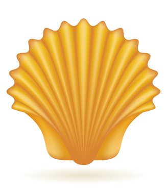 kabuk deniz vektör çizim