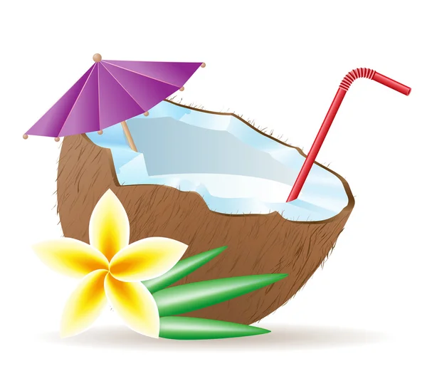 鸡尾酒的椰子矢量图 — 图库矢量图片