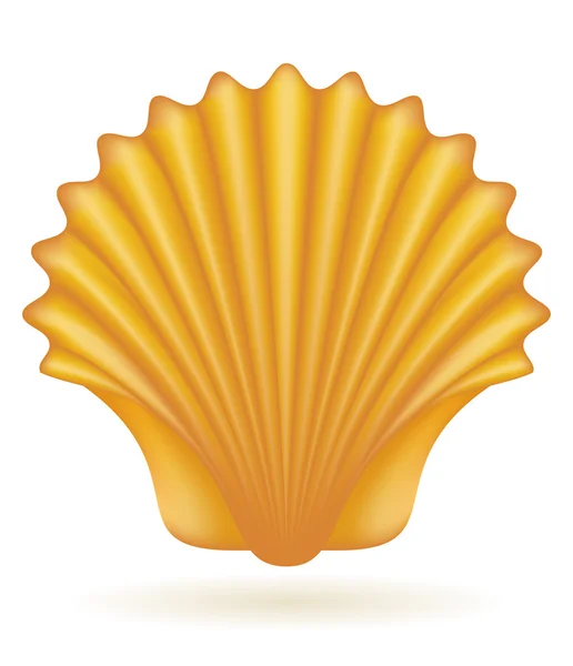 Shell sea vector illustration — Stock Vector