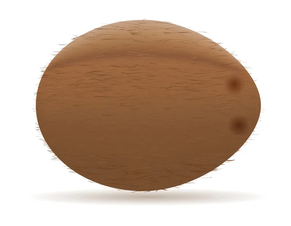 Illustration vectorielle de noix de coco — Image vectorielle
