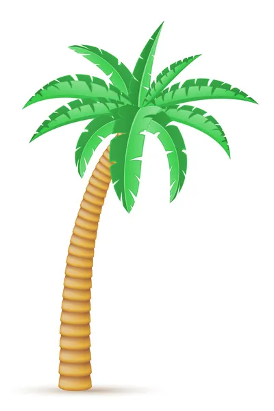 Palme tropischen Baum Vektor Illustration — Stockvektor