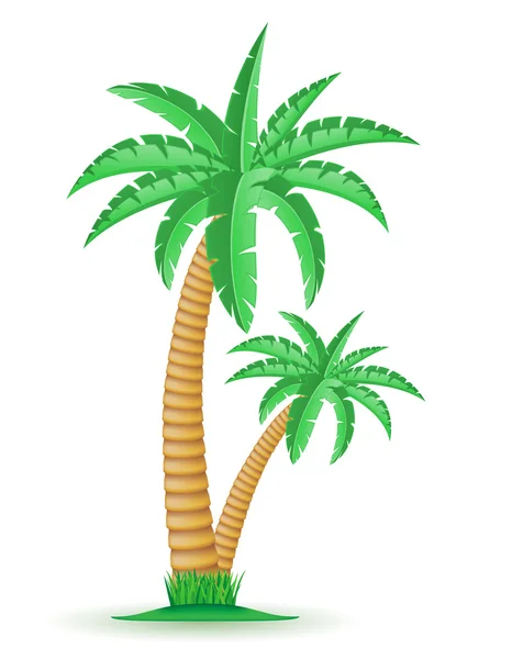 Palm tropische boom vectorillustratie — Stockvector