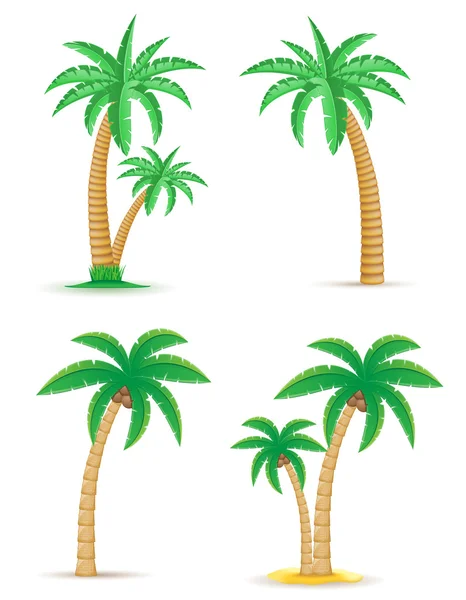 Palmera tropical conjunto de iconos vector ilustración — Vector de stock