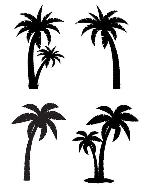 Palm trópusi fa állítsa be ikonok fekete sziluettje vektor illustratio — Stock Vector