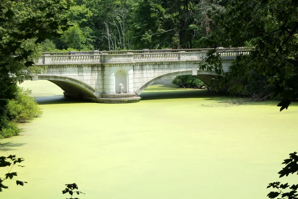 Brug — Stockfoto