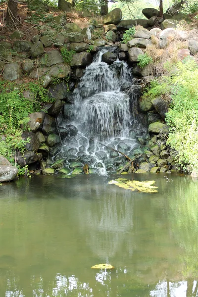 Wasserfall Stockbild