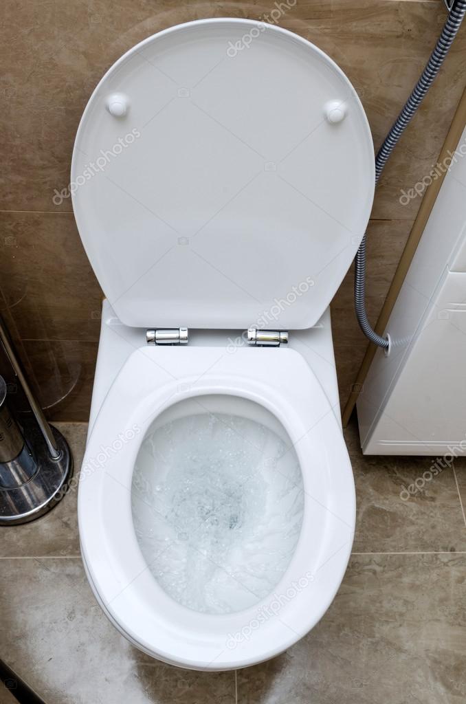 Flushing toilet
