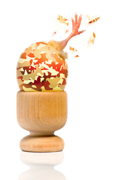 Военная яичная скорлупа
