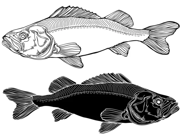 Balık grafik siyah ve beyaz