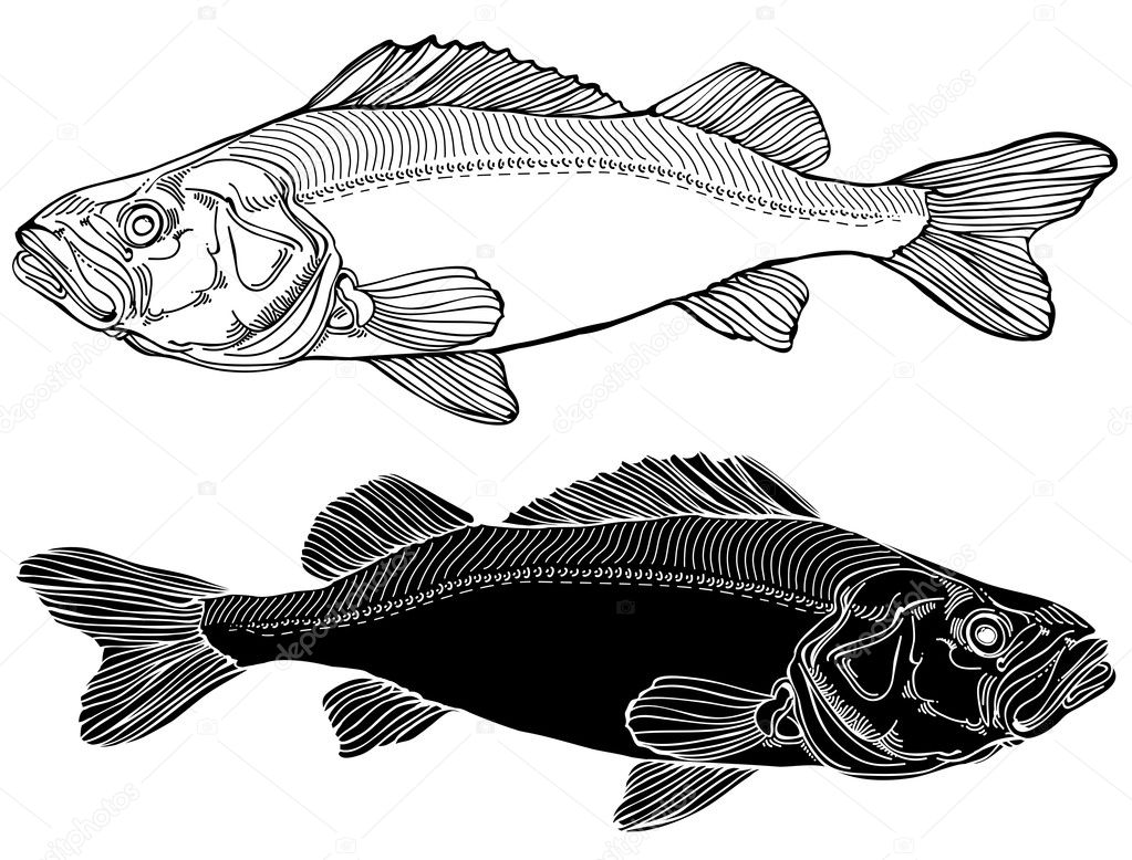 fish graphic black and white