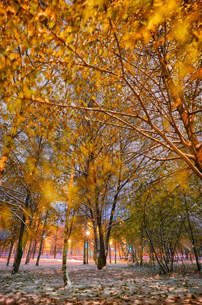 Karlı kış sonbahar manzarası — Stok fotoğraf