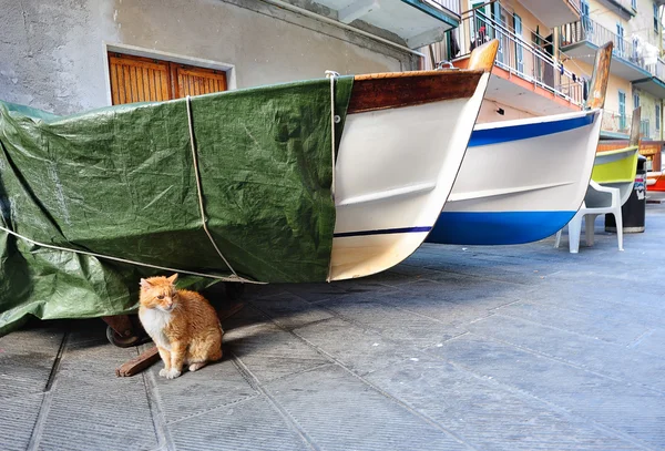 Kırmızı kedi ve bir İtalyan Köyü manarola balıkçı tekneleri — Stok fotoğraf