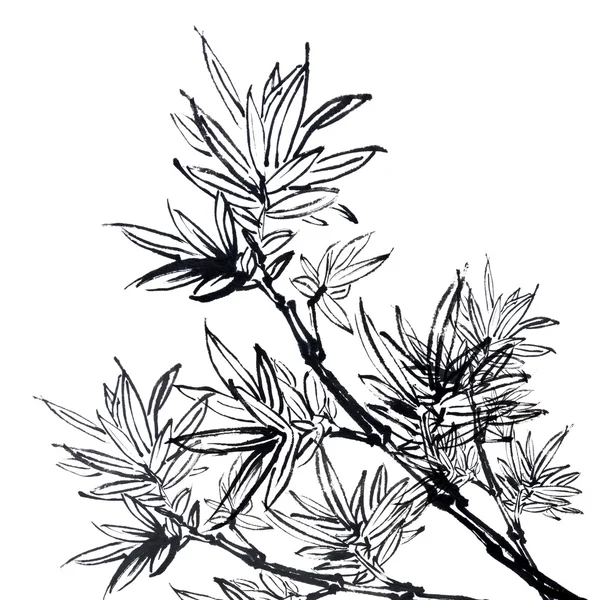 bamboo