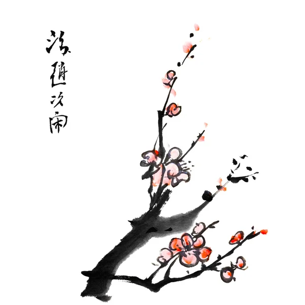 Chinese painting of plum blossom — Stock Photo, Image