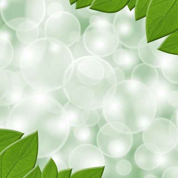 Green leaves space — Stock Photo, Image