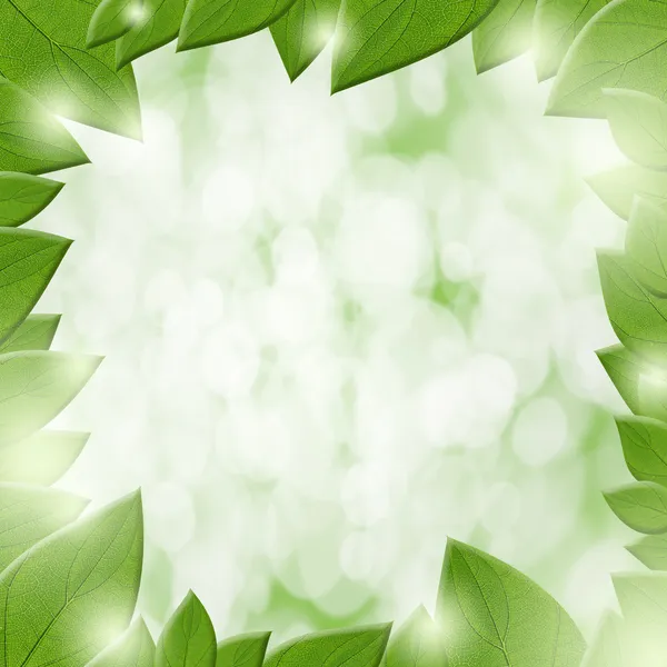 Green leaves space — Stock Photo, Image