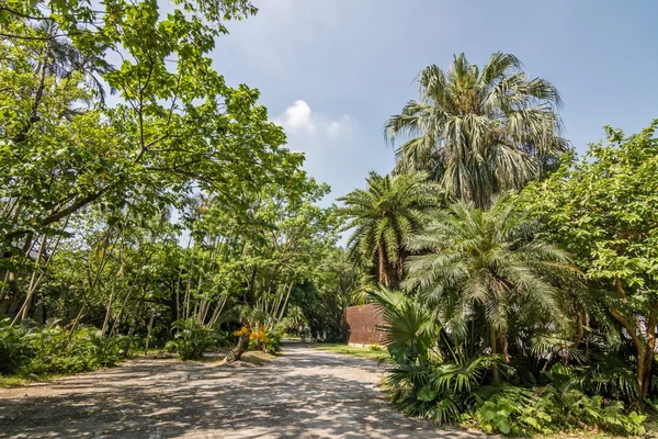 Parque Cultural e Criativo Songshan — Fotografia de Stock