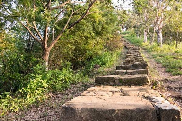Leśne ścieżki ze schodów — Zdjęcie stockowe