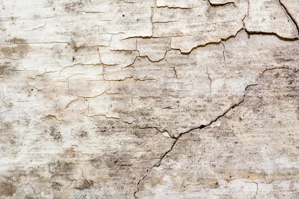 Yaşlı duvar iç doku — Stok fotoğraf