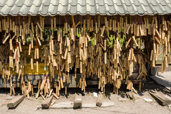 Polonyalılar isteyen bambu — Stok fotoğraf