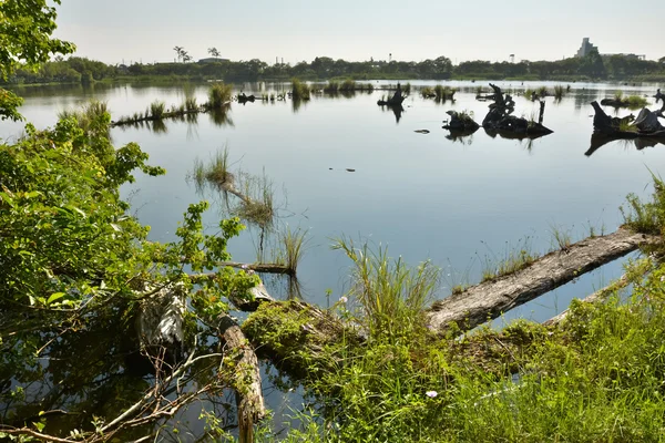 Paesaggio lago — Foto Stock