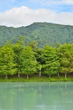 Lakefront görünümü
